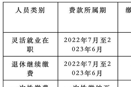 各省灵活就业人员医保缴费年限