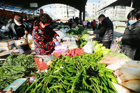 菜市场菜品种类大全