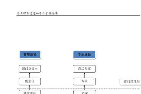 综合管理岗晋升途径