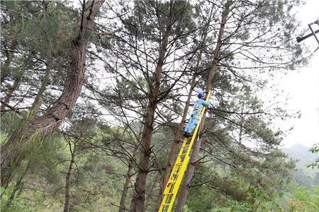 电力线路清障有哪些安全规程