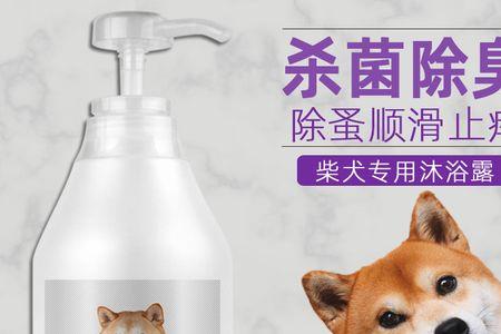 柴犬洗澡用哪种沐浴露好