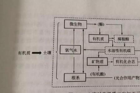 易腐生物是什么