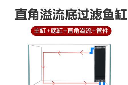 鱼缸底滤比例