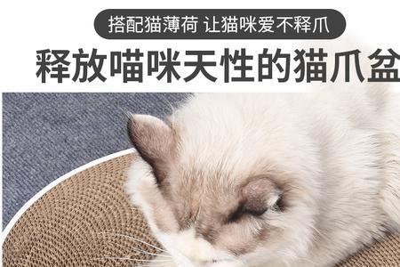 猫碗要和猫窝放一块吗