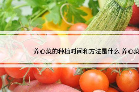 江西9月份种什么菜时间表