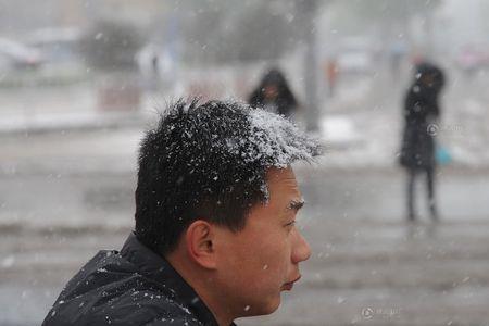 鹅毛大雪描写的怎样的景象