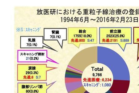 质子重离子世界有几家