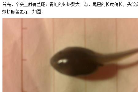 蝌蚪眼是什么