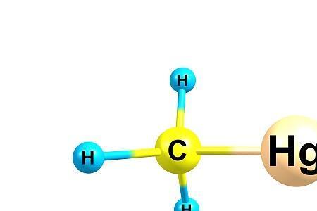 二甲基汞在生活的用处