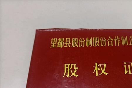 集体股权证什么意思