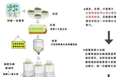 葡萄酒酿造和勾兑的国家标准