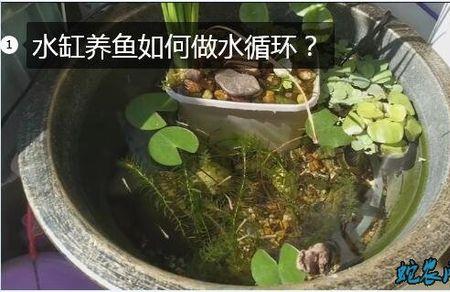 养鱼的水如何长时间保存