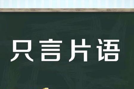 片面是什么意思网络用语