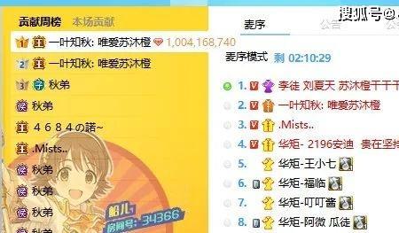 yy马甲颜色代表什么