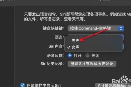 为什么siri是男的声音
