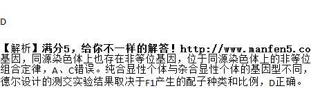 什么叫非同源染色体自由组合