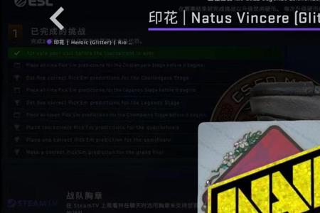 csgo2022major结束了还可以竞猜吗