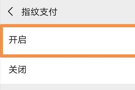 微信支付怎么只能指纹支付