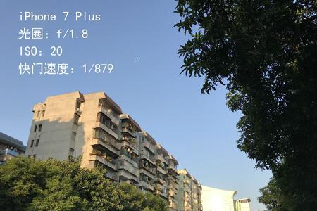 苹果8p人像模式不能自拍