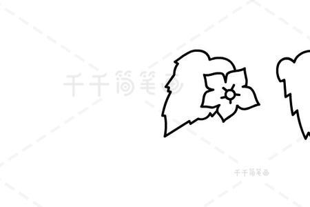 丝瓜花简笔画