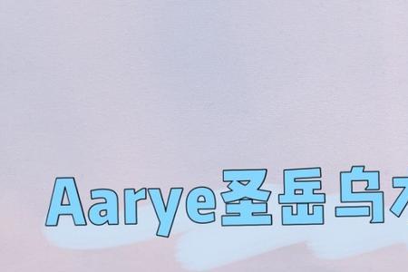 aarye这个牌子是哪个国家的