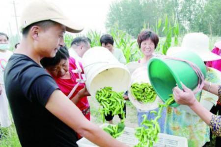 豆丹直接养殖在大棚里行吗