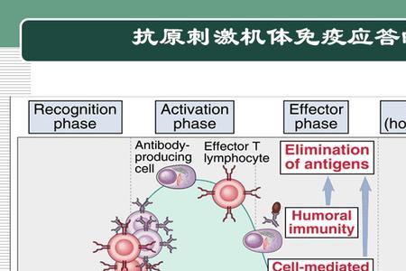 21世纪医学免疫学的发明有什么嘛