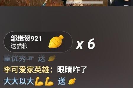 快手最大礼物是什么