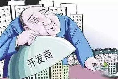 房地产开发商是什么意思