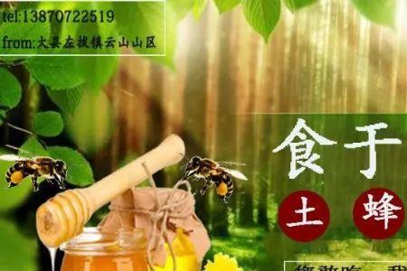 纯天然蜂蜜就是违反广告法吗