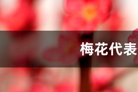 梅花气节是什么意思