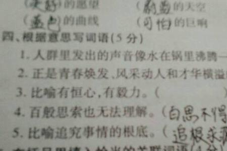 仔细换个词语意思不变