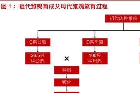 上游和下游的区别