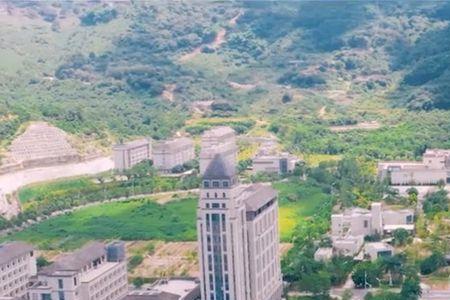 福建农林大学的茶学能转专业吗