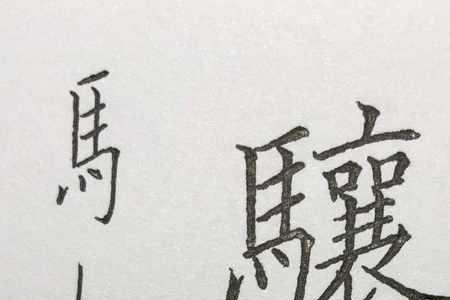 马字旁的注组词