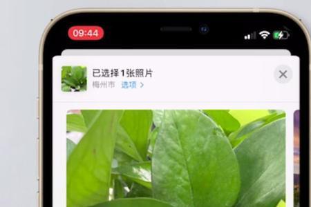 iphone照片怎么调换顺序