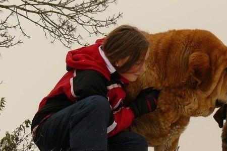 西班牙獒犬和巴哥的区别