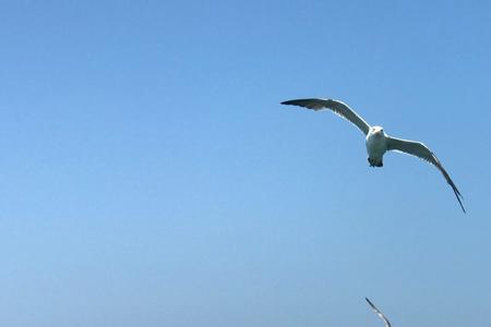 旅顺海猫砣的海拔