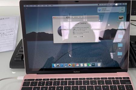 macbook可以玩双人同行吗