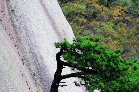 千难万击还坚韧读音