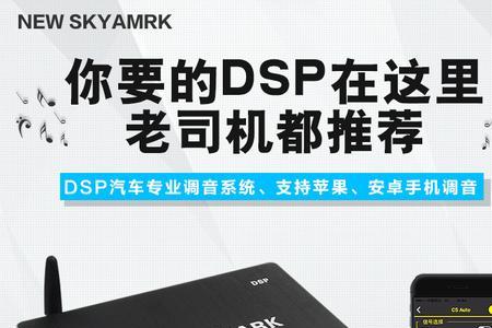 dsp能否代替功放