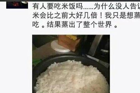 一碗米饭两件衬衫猜名字