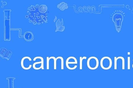 cameroonian属于哪个国家