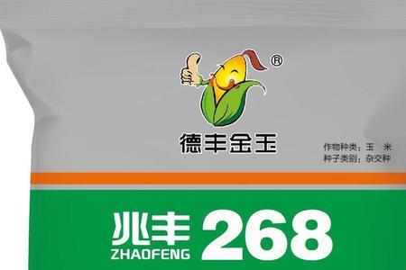 丰大mc121玉米种品种介绍