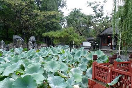 哪个词的结构跟池馆水榭相同