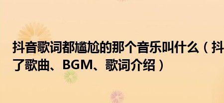 德鲁比配的bgm叫什么