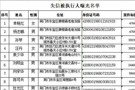 失信被执行人能租车么