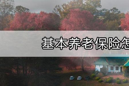 养老保险多久可以取出