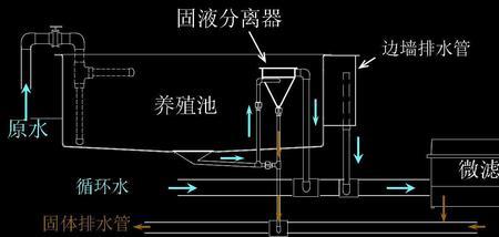 开循环过滤自来水养水可行吗