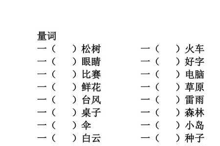 一什么大衣填量词